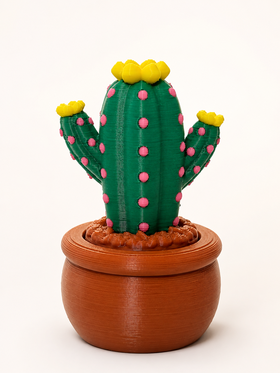 Prickly Pots – 3D Printed Cactus & Succulent Decor