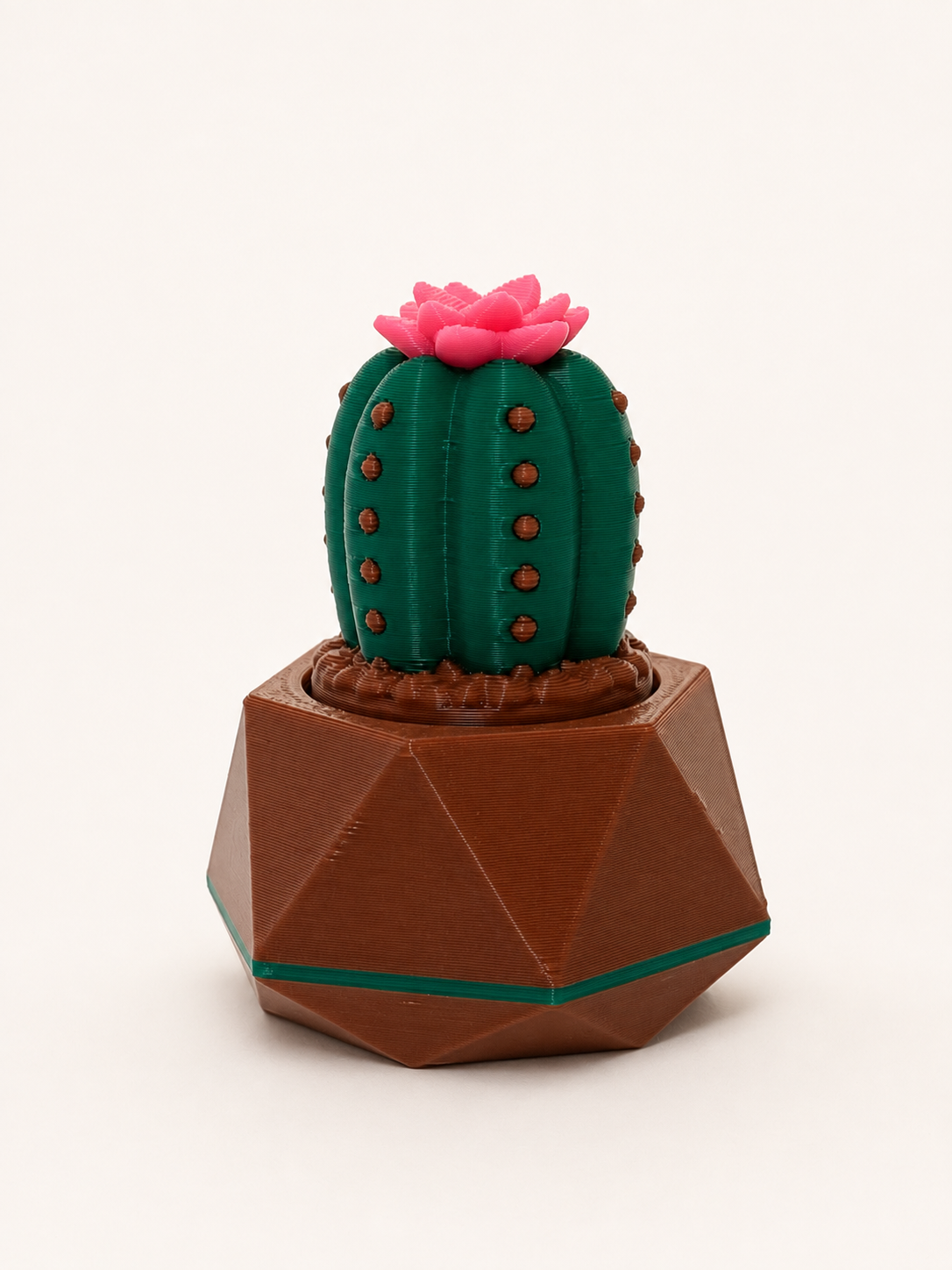 Prickly Pots – 3D Printed Cactus & Succulent Decor