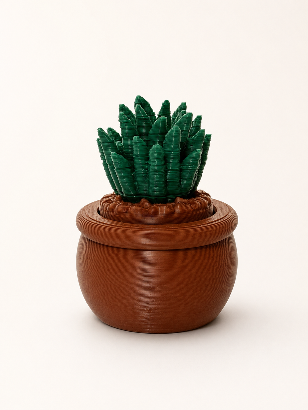 Prickly Pots – 3D Printed Cactus & Succulent Decor