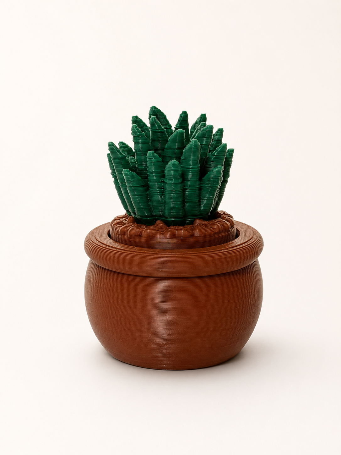 Prickly Pots – 3D Printed Cactus & Succulent Decor