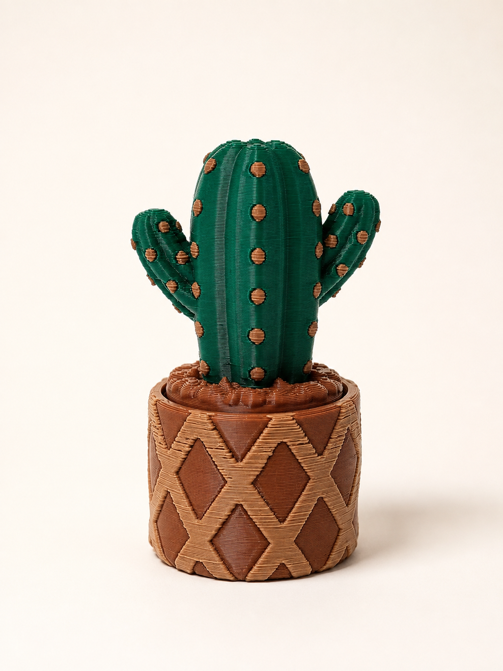 Prickly Pots – 3D Printed Cactus & Succulent Decor