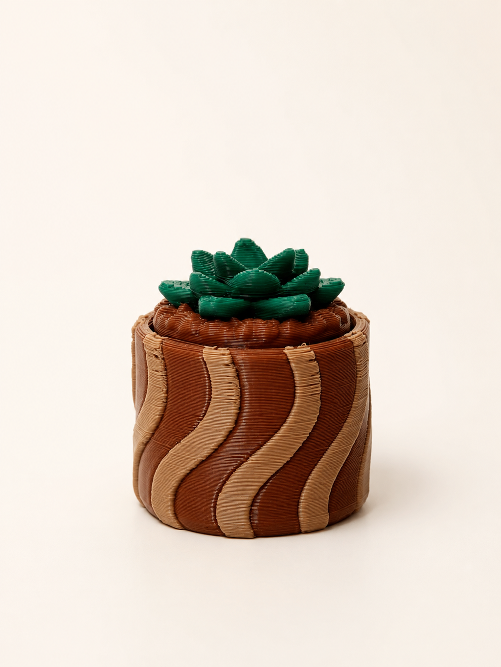 Prickly Pots – 3D Printed Cactus & Succulent Decor