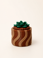 Prickly Pots – 3D Printed Cactus & Succulent Decor