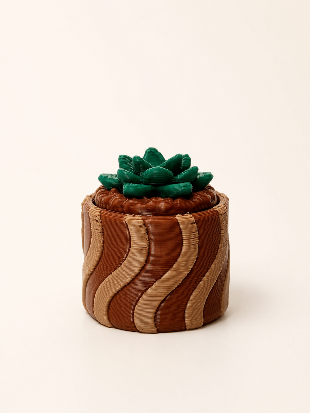 Prickly Pots – 3D Printed Cactus & Succulent Decor